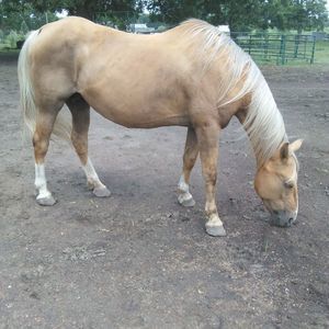 Meet your Posher, Cynthia